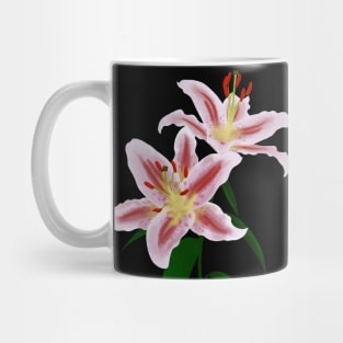 Lilies with black background Mug